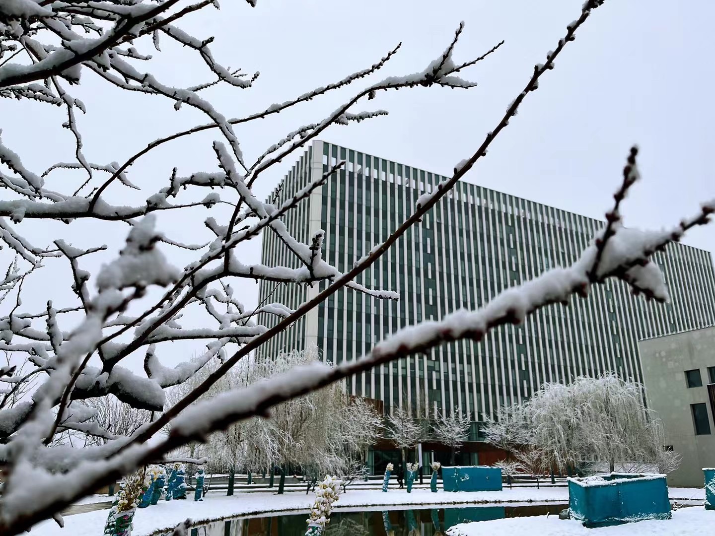 ��ҵ������